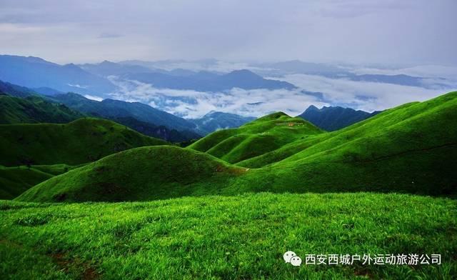 专业粗面怎么调好吃窍门?答疑平台,全面解答各类问题